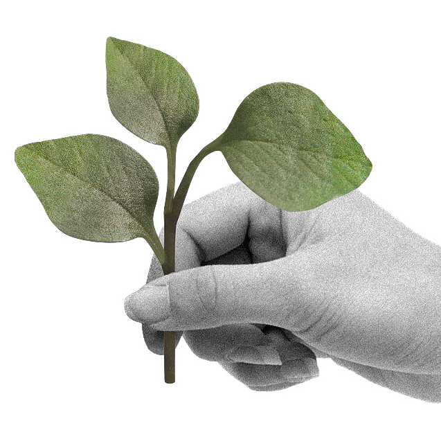 A hand is holding a leaf, reminding us to protect the environment
